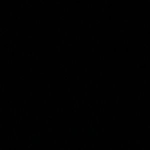 Meet your Posher, Boram